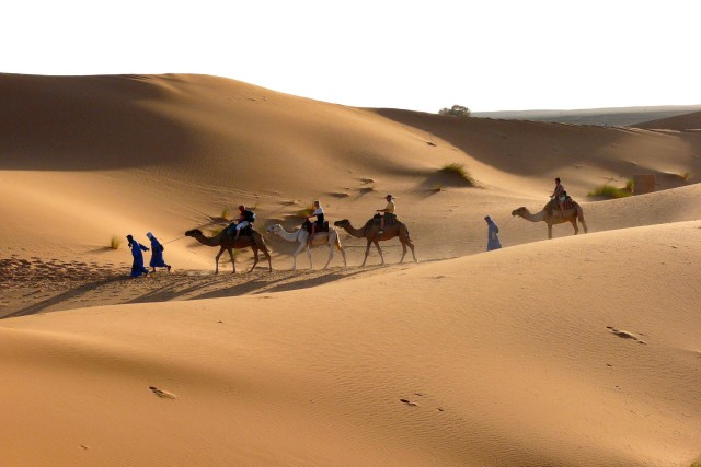 Visit Ouarzazate Tinfou Dunes, Camp & Camel Ride Day Trip - 1 day in Ouarzazate