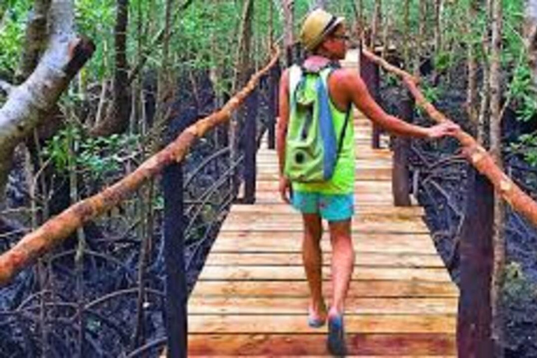 ZANZIBAR: Stone Town, foresta di Jozani, grotta di Kuza e la rocciaTOUR PRIVATO SENZA TRASFERIMENTO INCLUSO