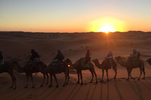 Marrakech : Excursion de nuit dans le Sahara à Zagora et Ait Ben Haddou