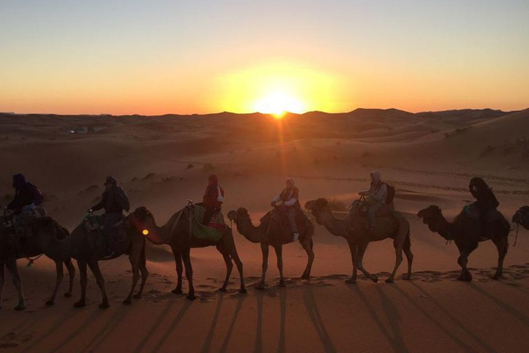 Marrakech : Excursion de nuit dans le Sahara à Zagora et Ait Ben Haddou