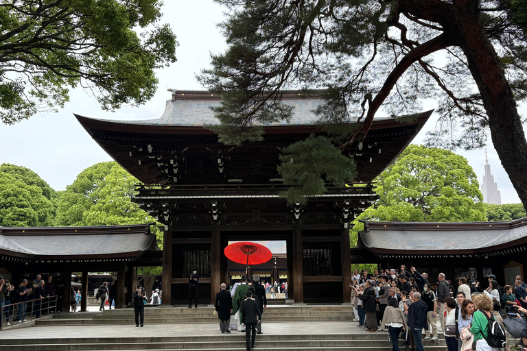 Tokio: privétour met gids langs tempels en heiligdommen per autoPremium SUV voor 3 personen