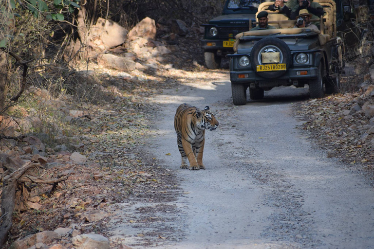 8-daagse Gouden Driehoek India met Wild Life Tour vanuit Delhi