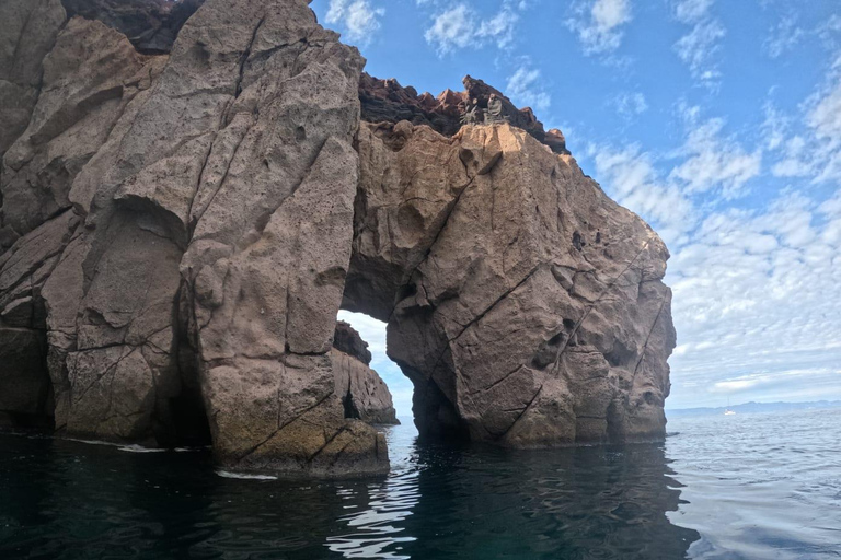 La Paz: Espíritu Santo Island & Whale Shark Day Trip