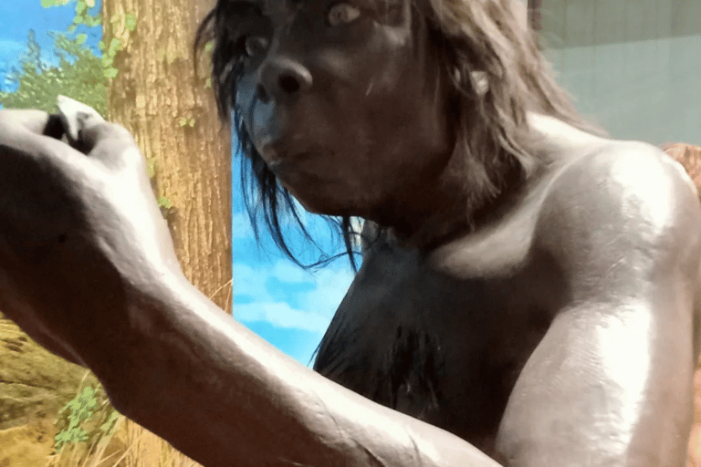 Surakarta : Full-Day Highlights Tour – All Inclusive Surakarta : Full-Day Highlights Tour - All Inclusive