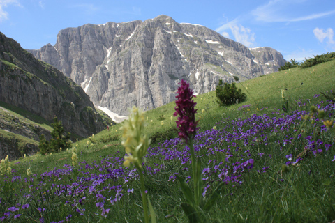 Guided hiking tour to the dragon lake of Mountain Tymfi