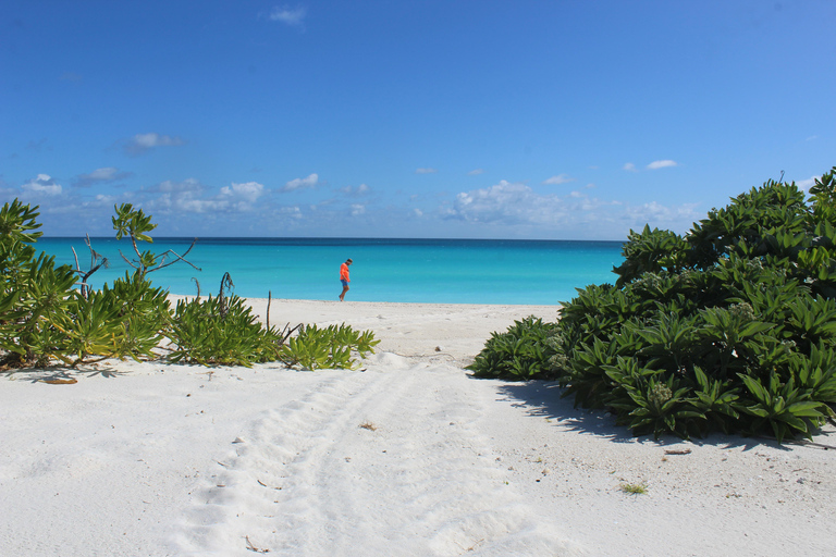 DAR ES SALAAM : TRIP DAR ES SALAAM TO BAGAMOYO OLD CITY TOUR