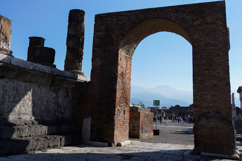 From Sorrento: Pompeii Skip-the-Line, Train Tkt & Tour
