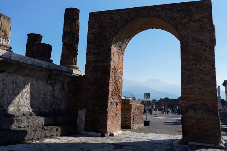From Sorrento: Pompeii Skip-the-Line, Train Tkt & Tour