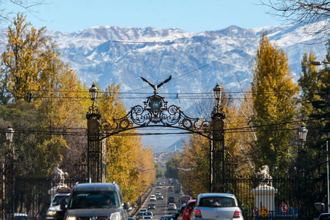 Mendoza: City Tour & Scenic Surroundings