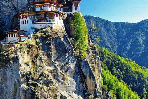 Private Thimphu Full or Half Day tour with Lunch