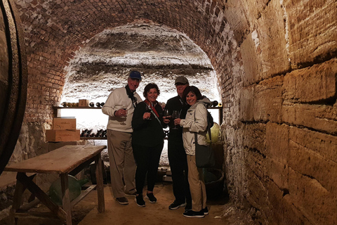 RIOJA: WIJNTOUR MET EEN WIJNBOOMEIGENAAR