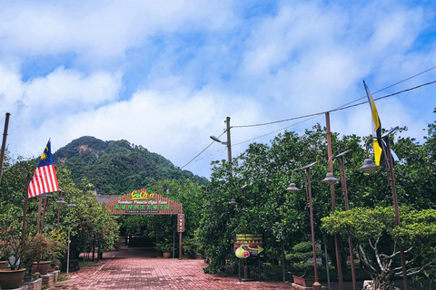 From Penang: Private Ipoh Tour with Hotel Pickup