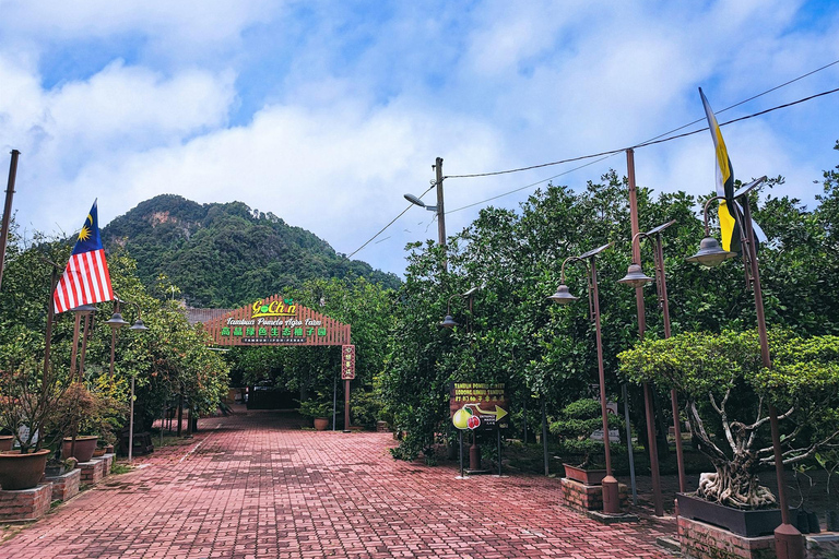 From Penang: Private Ipoh Tour with Hotel Pickup