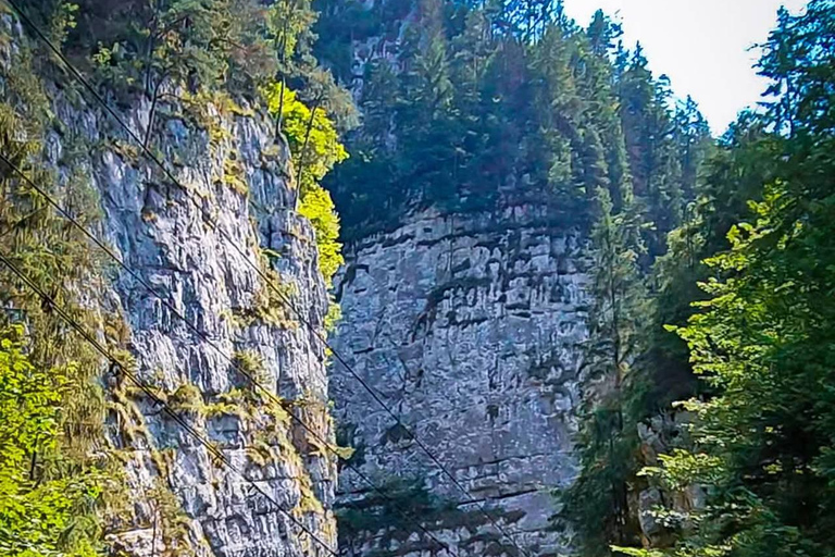 Brașov: Dracula's Castle, Bear Sanctuary, & Cave Tour