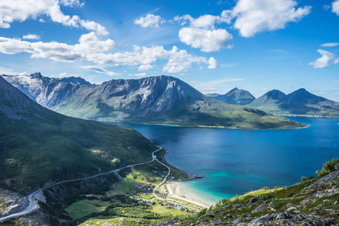 Tromsø: Summer Day Hike in the Wilderness Tromsø: Summer Day Hike in the wilderness