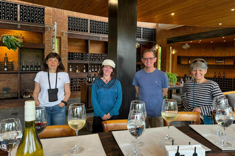 San Antonio Cruise Tour Valparaíso &amp; Casablanca, Santiago