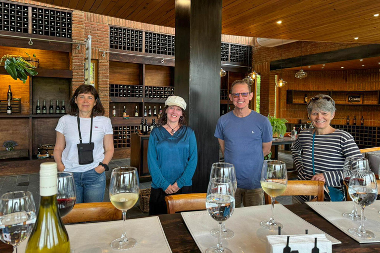 San Antonio Cruise Tour Valparaíso &amp; Casablanca, Santiago