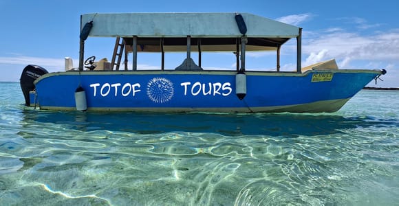 Blue Bay: Half-Day Snorkeling Trip with Creole Picnic Lunch