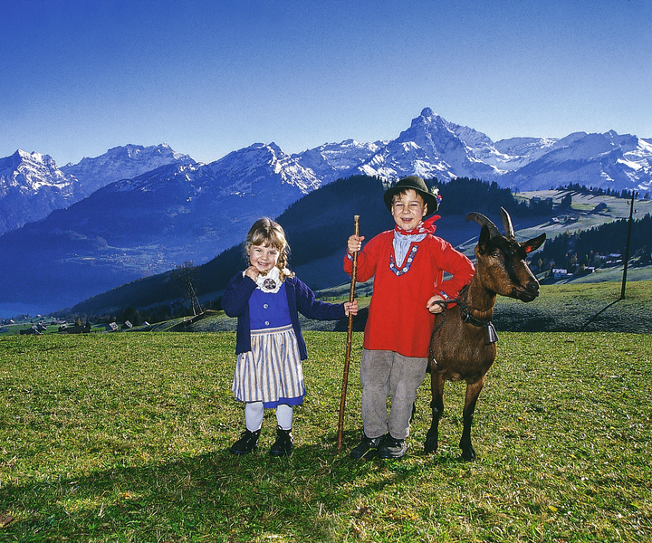 From Zurich: Bus Day Trip to Heidiland and Liechtenstein