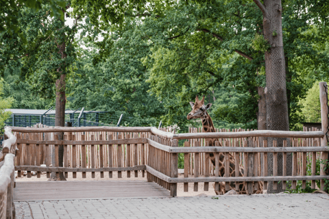 Bilet jednodniowy do zoo w Schwerinie