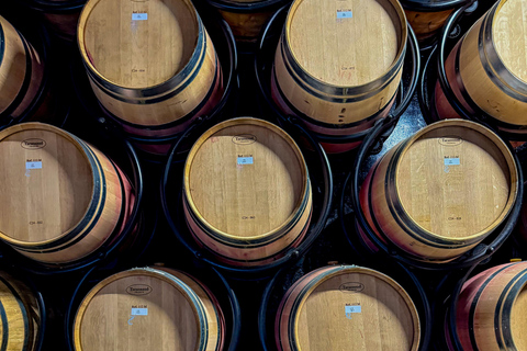 Douro Valley: Wine & Olive Oil Tour with Boat & Lunch Douro Valley: 2 Wineries, Boat Cruise & Traditional Lunch