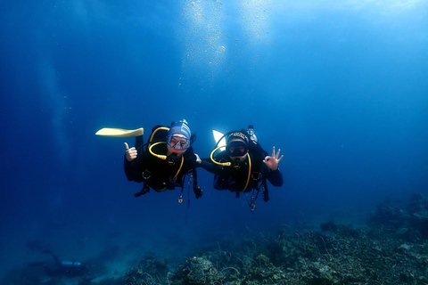 Pattaya: Fun Dive 2 Ocean Dives and Lunch (Certified Diver)