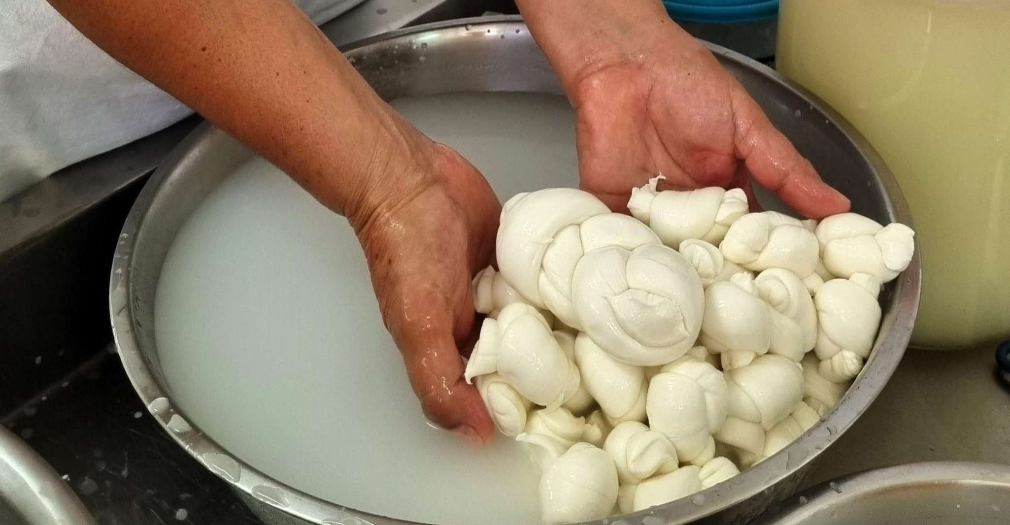 Putignano: prepara e assaggia la mozzarella ancora calda