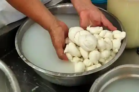 Putignano: Make and taste still warm mozzarella