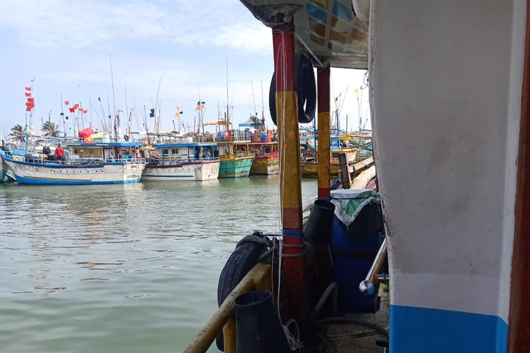 Sri Lanka: 4-Day Wildlife, Culture & Scenic Journey