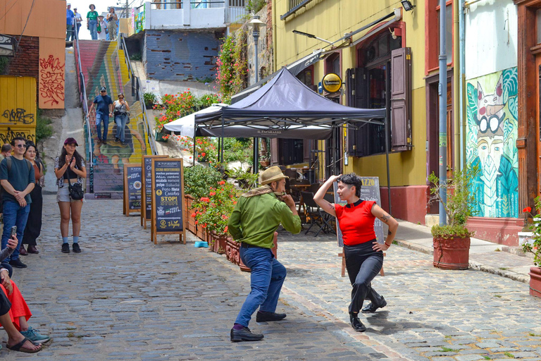 Santiago: Valparaíso Cruise Port Transfer & Vineyard Tour