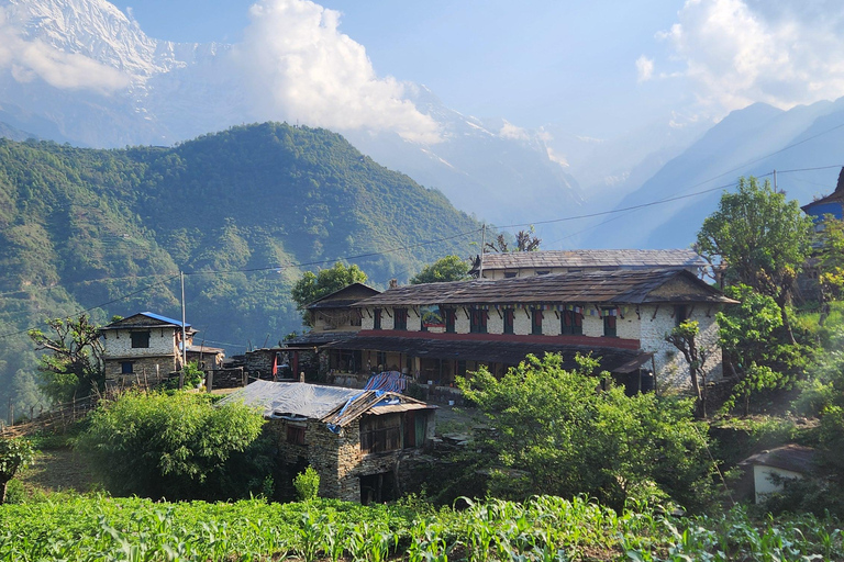 Annapurna Base Camp Trek: 12-Day Guided Tour