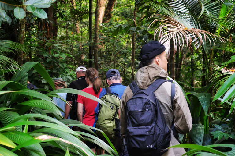 Port Douglas: Daintree Rainforest, Ziplining & Reef - 2 Days Private Double/Twin with Ensuite