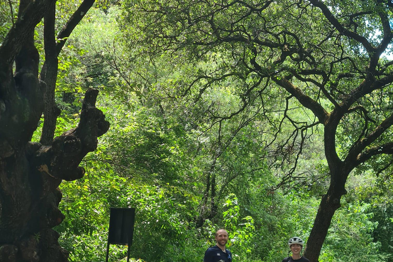 Oaxaca: Bike Tour with Visit to Monkey Tree & Bread Maker