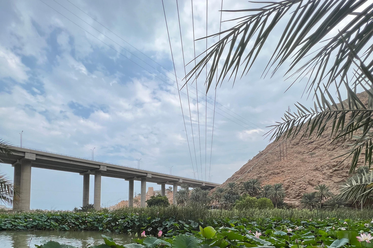 Muscat: Wadi Shab Hike and Bimmah Sinkhole Tour with Lunch Muscat: Wadi Shab Hike and Bimmah Sinkhole Tour with Lunch