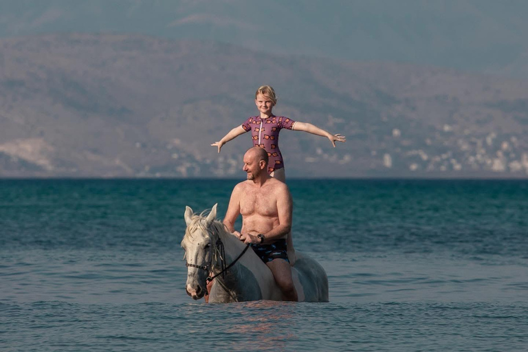 Corfu: Horseback Swimming Experience