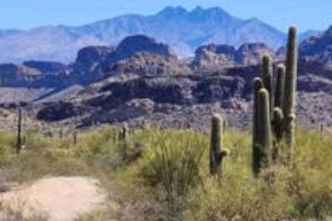 Mesa. AZ: Bulldog Canyon Off-Road Tour Scenic Superstitions
