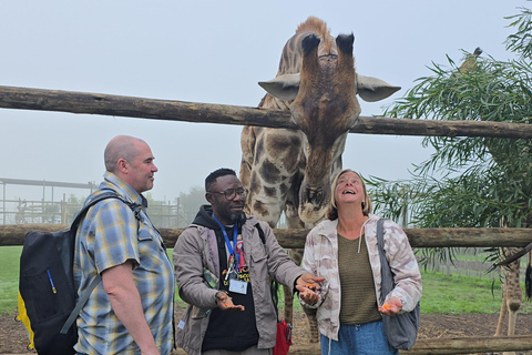 Cheetah, Giraffes Encounter, lion's park, and Wine Tasting