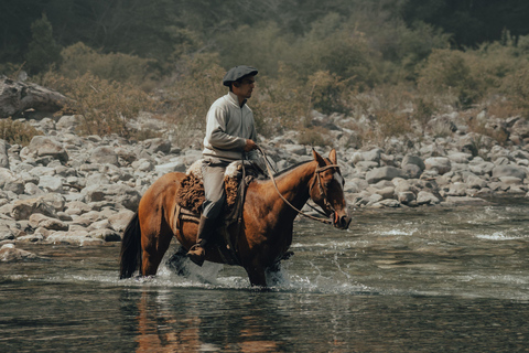 Nashville: 2-Hour Horseback Ride Through Creek Trails