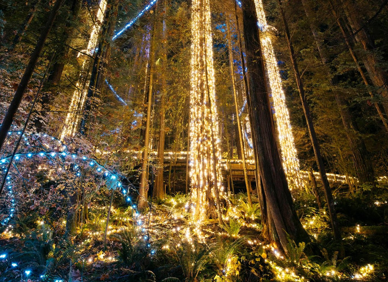 Vancouver: Capilano Suspension Bridge Park billet