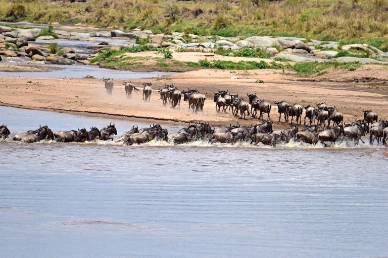 Luxury Safari Manyara, Serengeti & Ngorongoro.