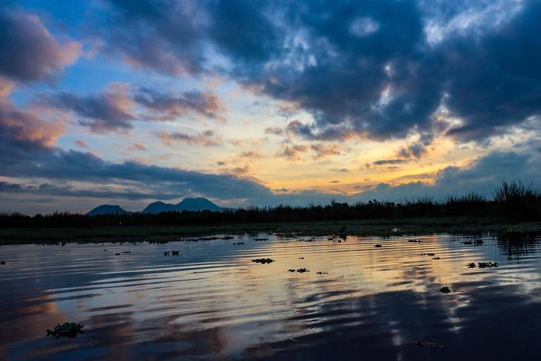Tour in kayak a Xochimilco: campi di calendula e sapori del giorno dei mortiTour in kayak all'alba a Xochimilco