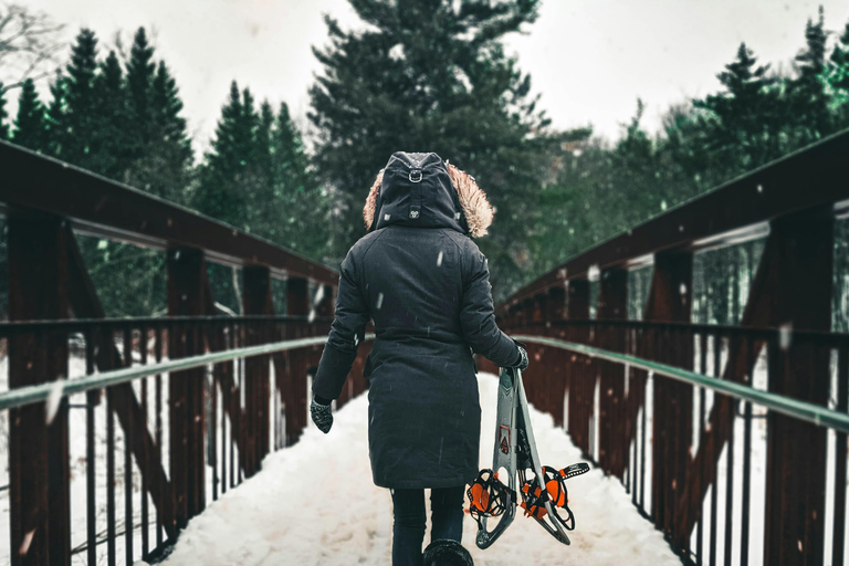 Lucerne: Snowshoe Hiking Adventure to Glaubenberg Langis