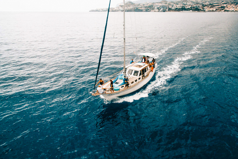 Funchal : observation des dauphins et des baleines au coucher du soleil