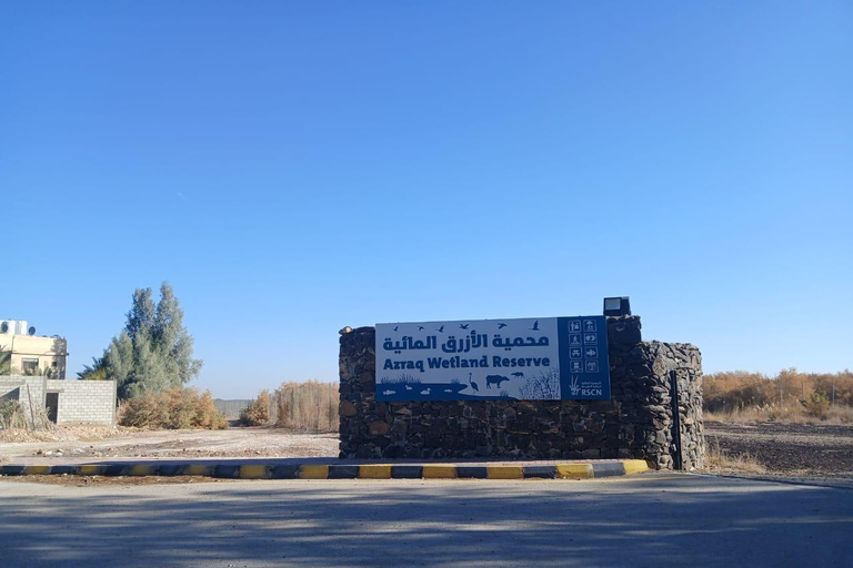 Amman: Desert Castles Shaumari Wildlife Private Day Trip