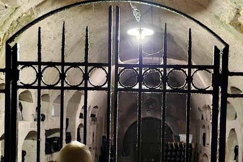 Reims : Entdeckungstour Kleine Produzenten Champagner Tagestour