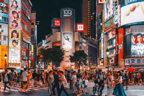 Tokyo Private Sightseeing City Tour With English Driver Tokyo Private Tour Up To 3 persons