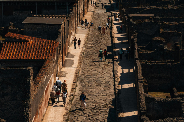 Pompeia: Excursão a pé por França