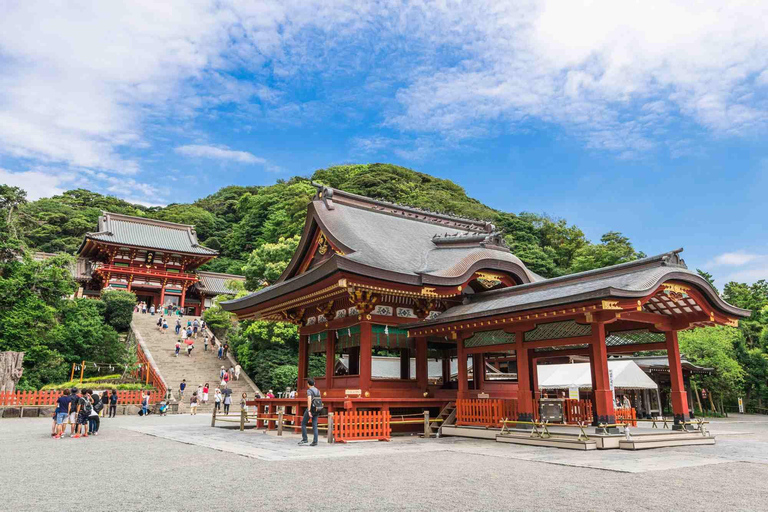 Sacred Kamakura & Yokohama Full-Day Tour with English Guide Kamakura & Yokohama Private Tour With Toyota Welfare Alphad