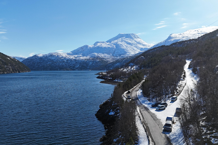 Abisko: Zwiedzanie fiordów i wycieczka fotograficzna.