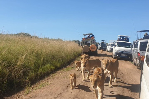 From Nairobi: 3-Day Masai Mara Safari at Sopa Lodge